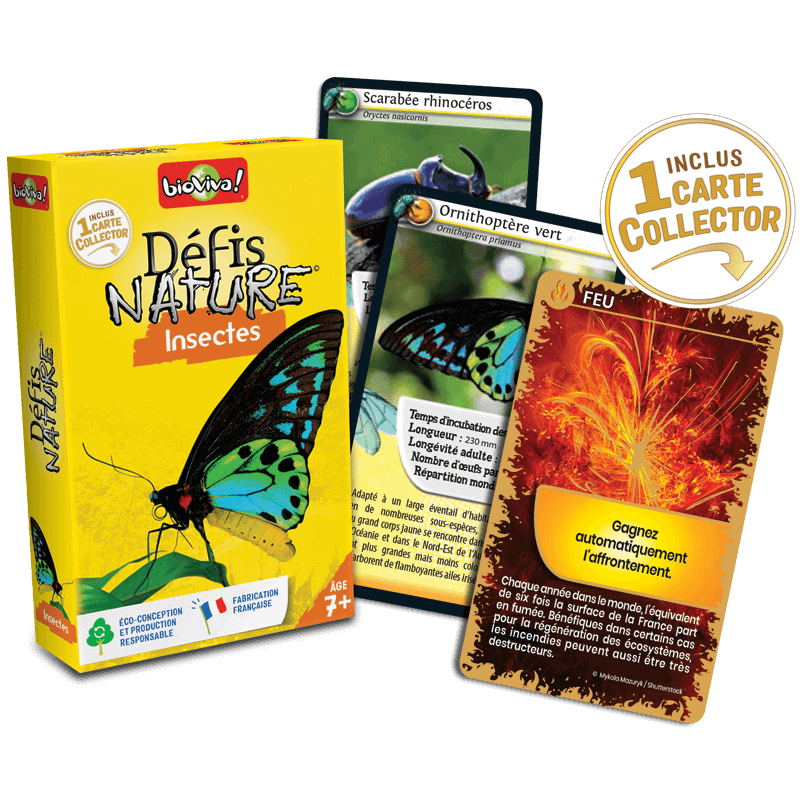 Bioviva Défis Nature – Gioco Di Carte Sugli Uccelli – Per Bambini Da 7 Anni In Su – Eco-progettato In Francia - 4