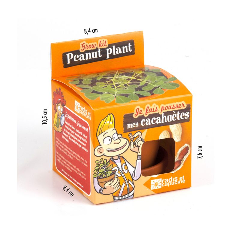 graines-de-cacahu-tes-faire-pousser-pot-8-cm-la-canaillerie
